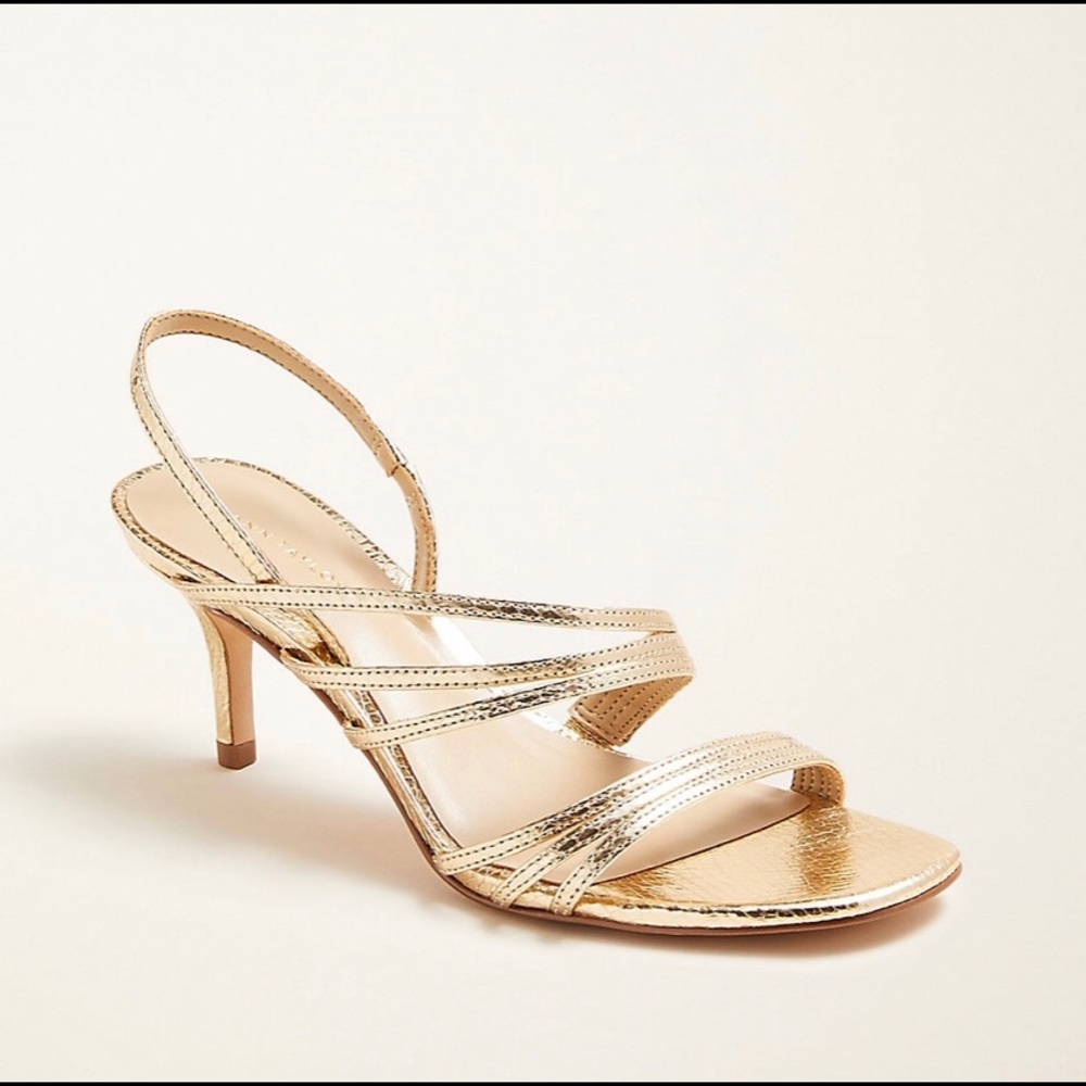 Ann Taylor Brand New Leather shoes with Tag.